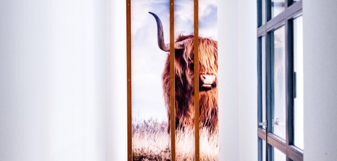 Vacature: Assistent Accountant (Family Office) in Baarn